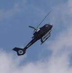 Joellc2434's Avatar