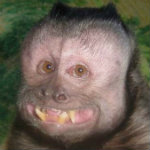 NOreasonY's Avatar