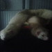 chrisB's Avatar