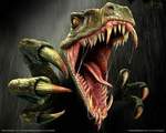 rapter's Avatar