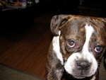 foney_email's Avatar