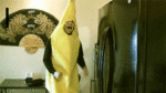 Breezynator's Avatar