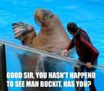 I Love Brownies's Avatar